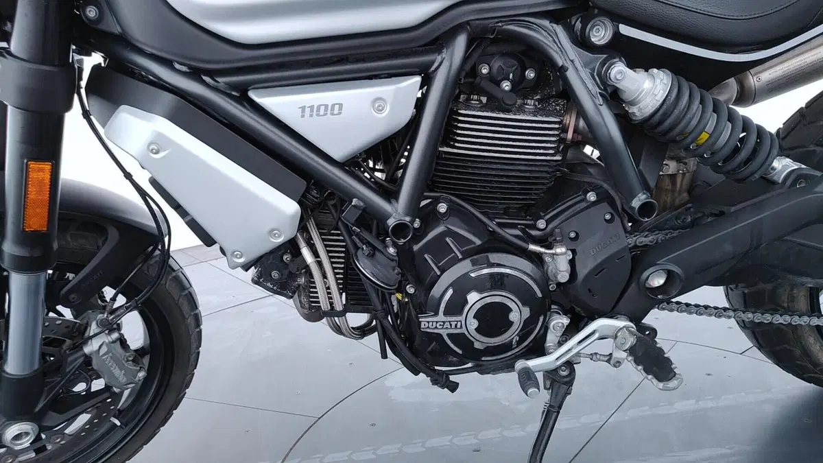 Ducati Scrambler 1100 Tribute Pro (2022 - 24) (11)