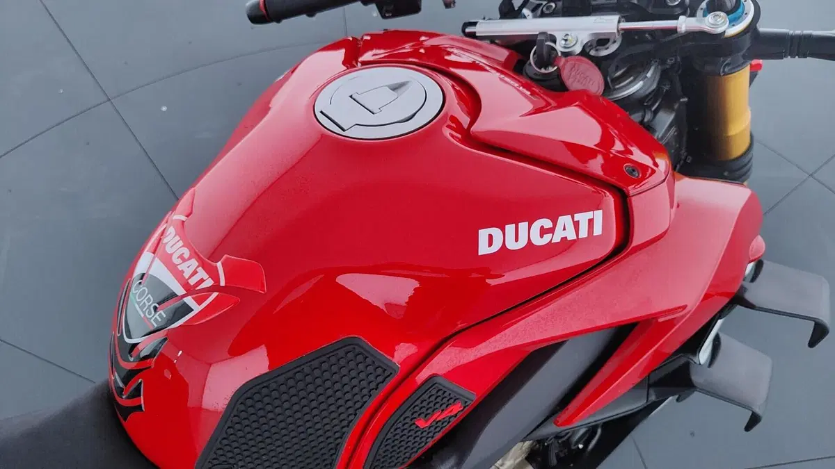 Ducati Streetfighter V4 1100 S (2021 - 22) (11)