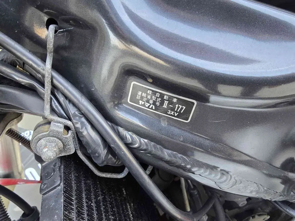 Yamaha TZR 250 RS 3VX (15)