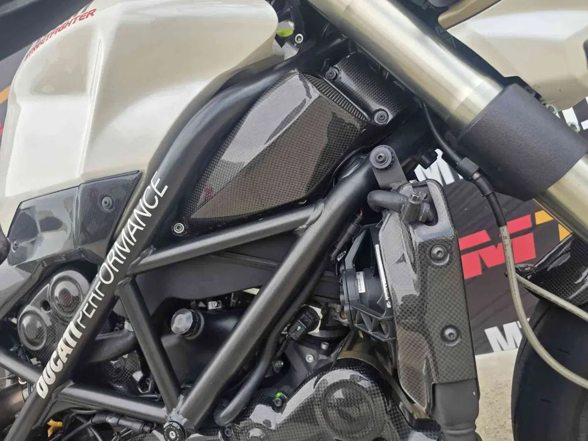 Ducati Streetfighter (2009 - 12) (23)