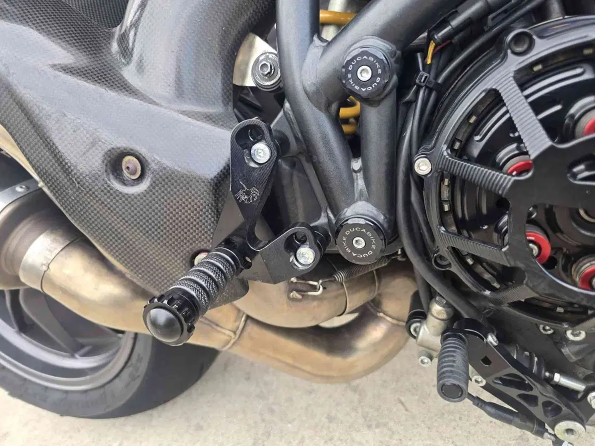 Ducati Streetfighter (2009 - 12) (33)