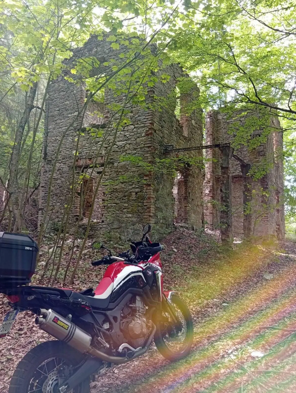 Honda Africa Twin CRF 1000L (2018 - 19) (2)