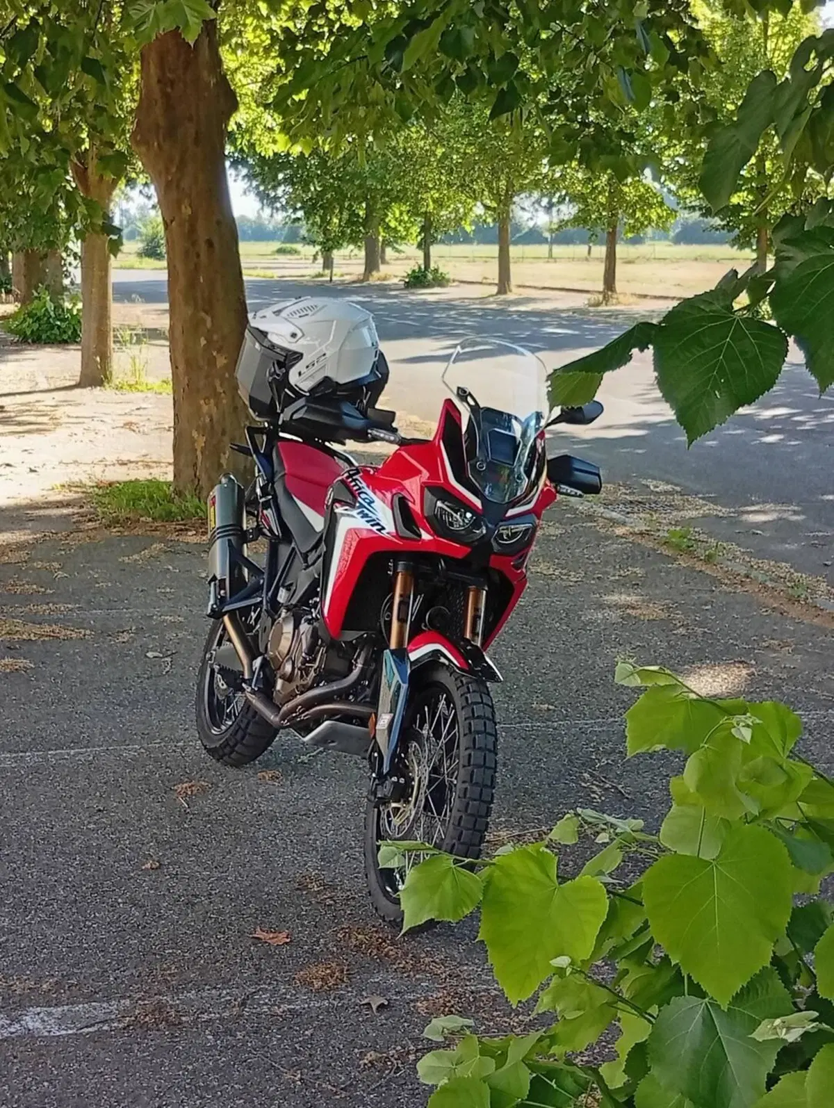 Honda Africa Twin CRF 1000L (2018 - 19) (3)