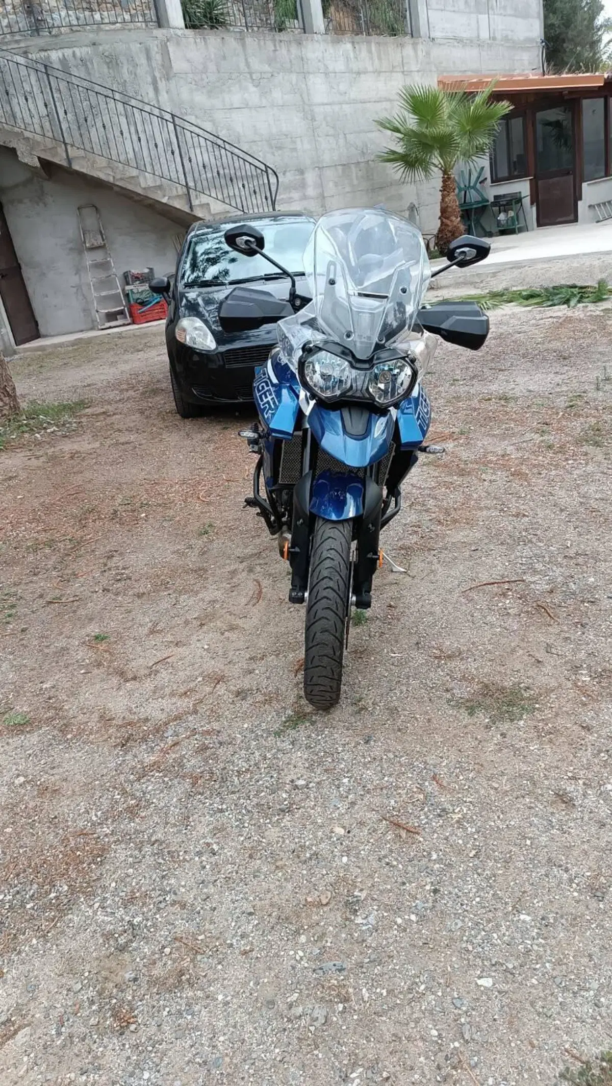 Triumph Tiger 800 XRx (2018 - 20) (2)