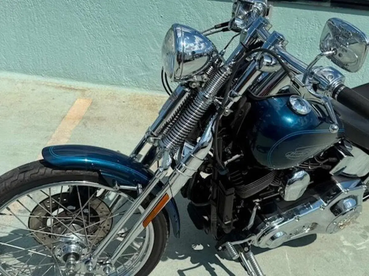 Harley-Davidson 1450 Springer (2001 - 03) - FXSTS (3)