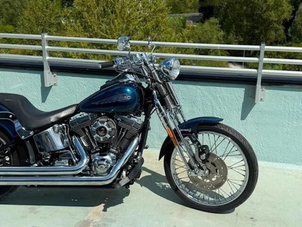 Harley-Davidson 1450 Springer (2001 - 03) - FXSTS (5)