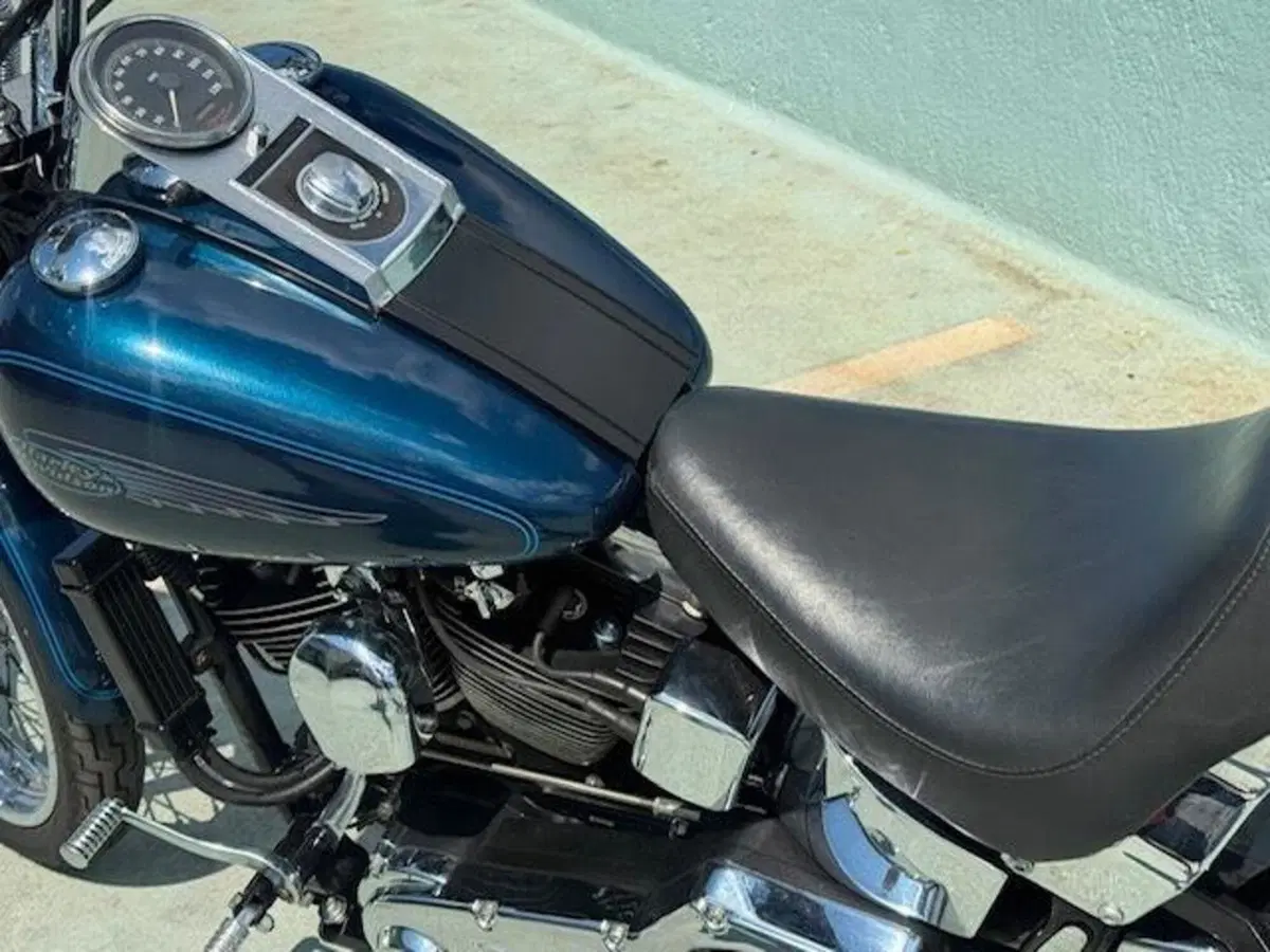 Harley-Davidson 1450 Springer (2001 - 03) - FXSTS (7)