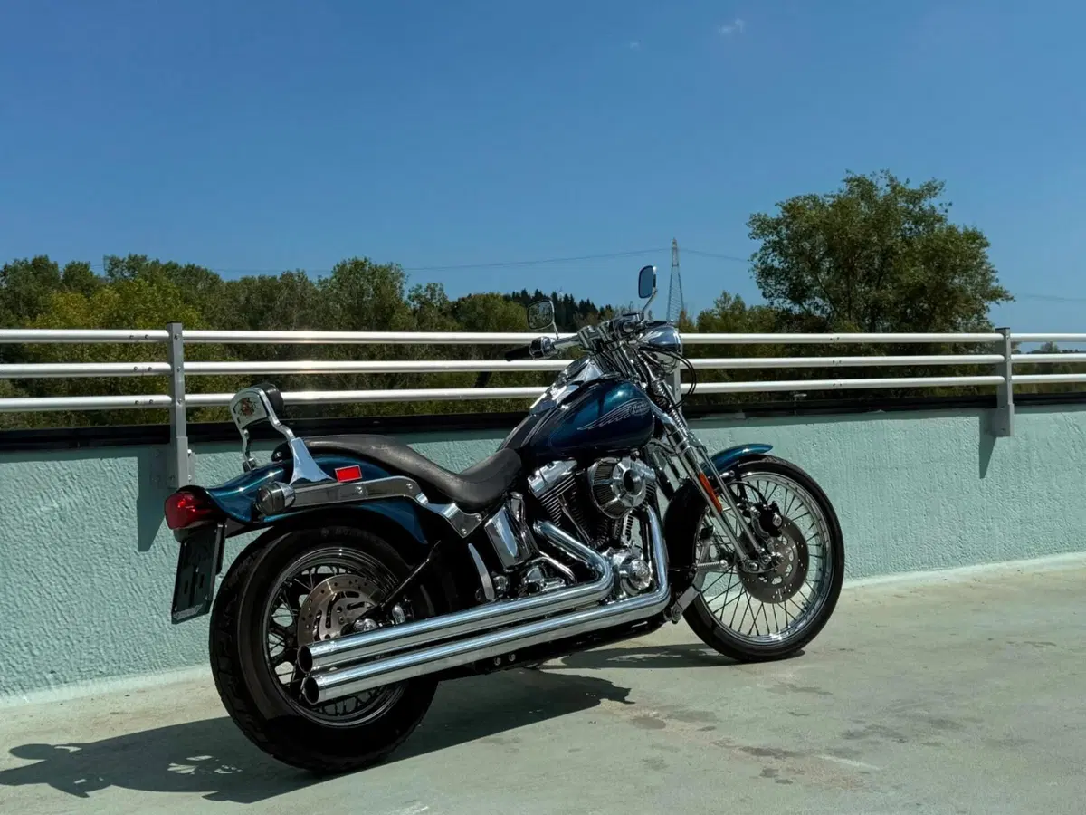 Harley-Davidson 1450 Springer (2001 - 03) - FXSTS (8)