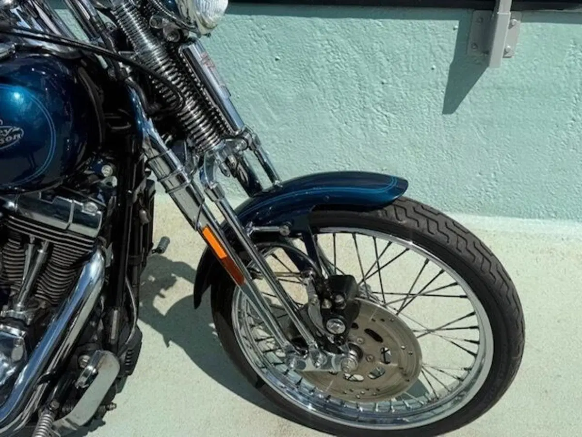 Harley-Davidson 1450 Springer (2001 - 03) - FXSTS (9)