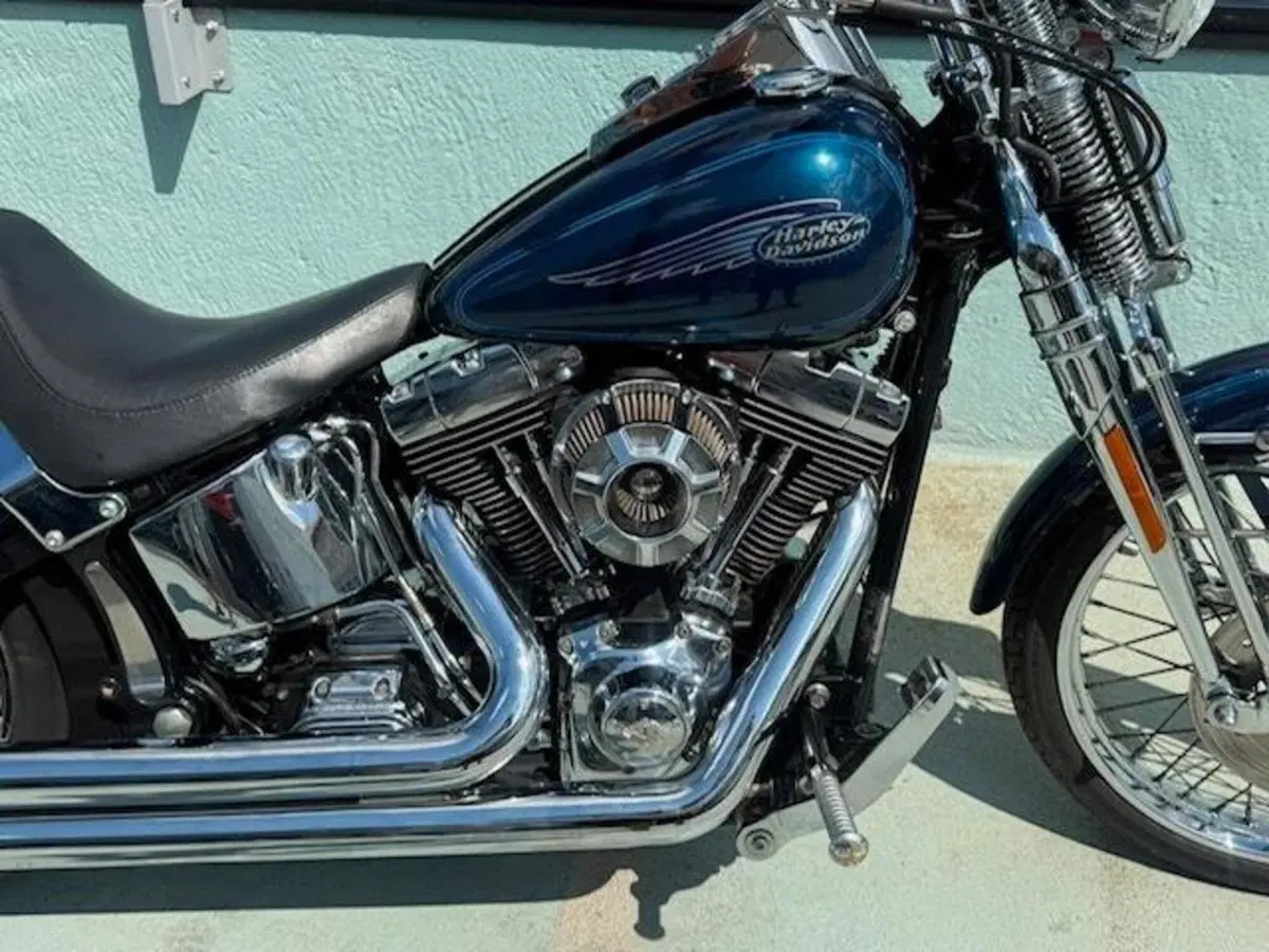 Harley-Davidson 1450 Springer (2001 - 03) - FXSTS (10)