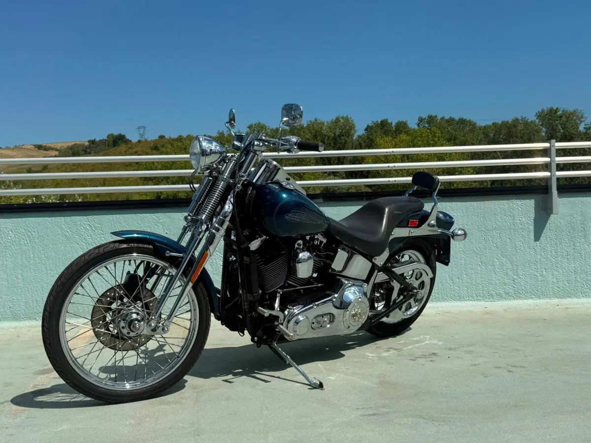 Harley-Davidson 1450 Springer (2001 - 03) - FXSTS (11)