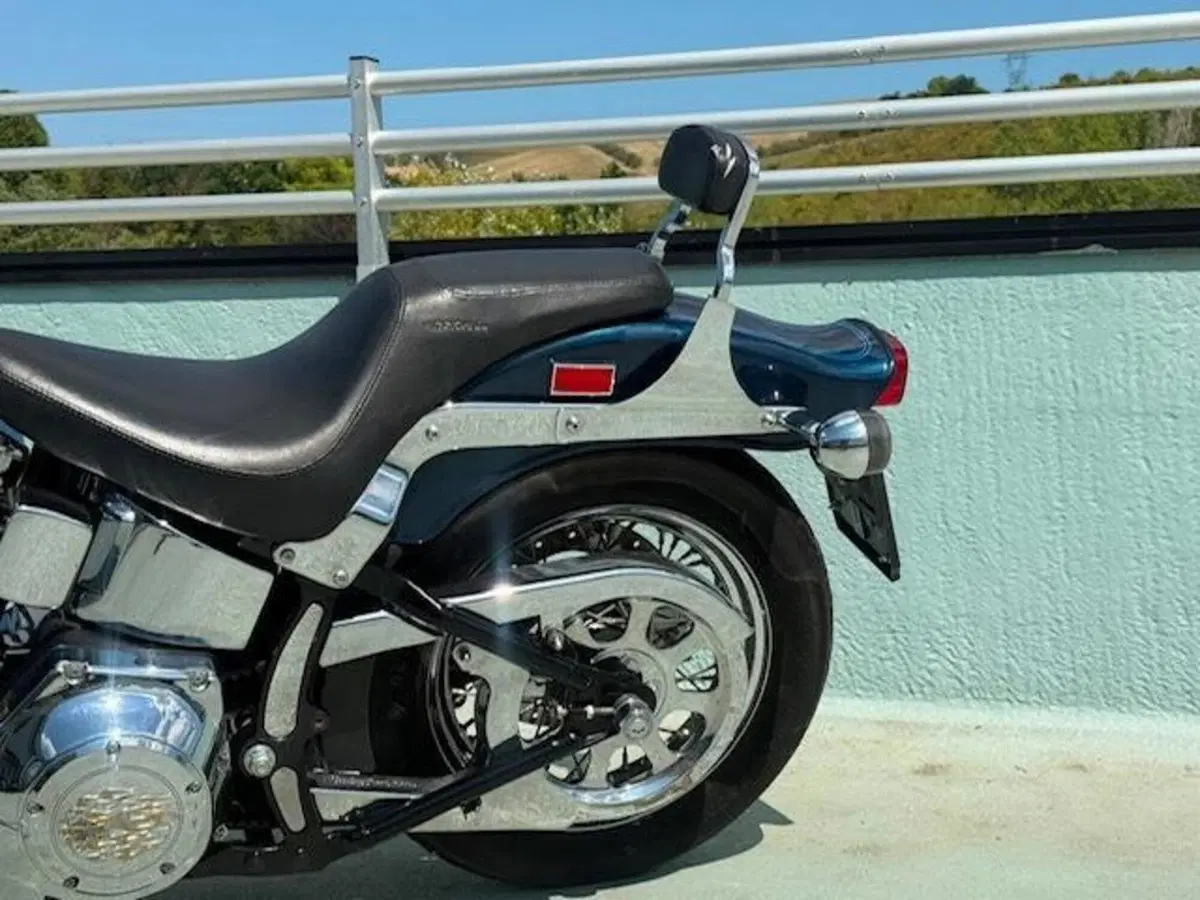 Harley-Davidson 1450 Springer (2001 - 03) - FXSTS (12)