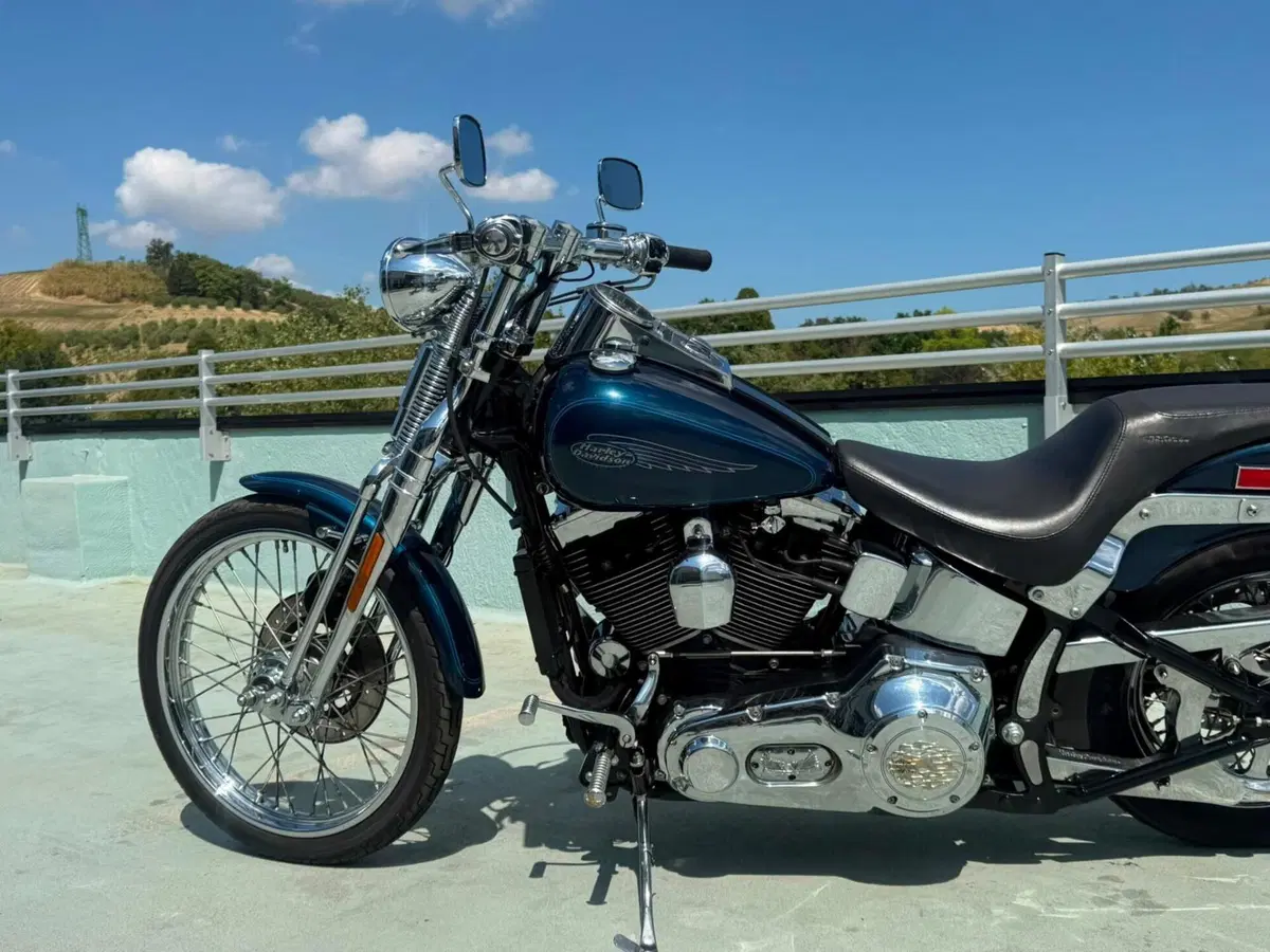Harley-Davidson 1450 Springer (2001 - 03) - FXSTS (13)