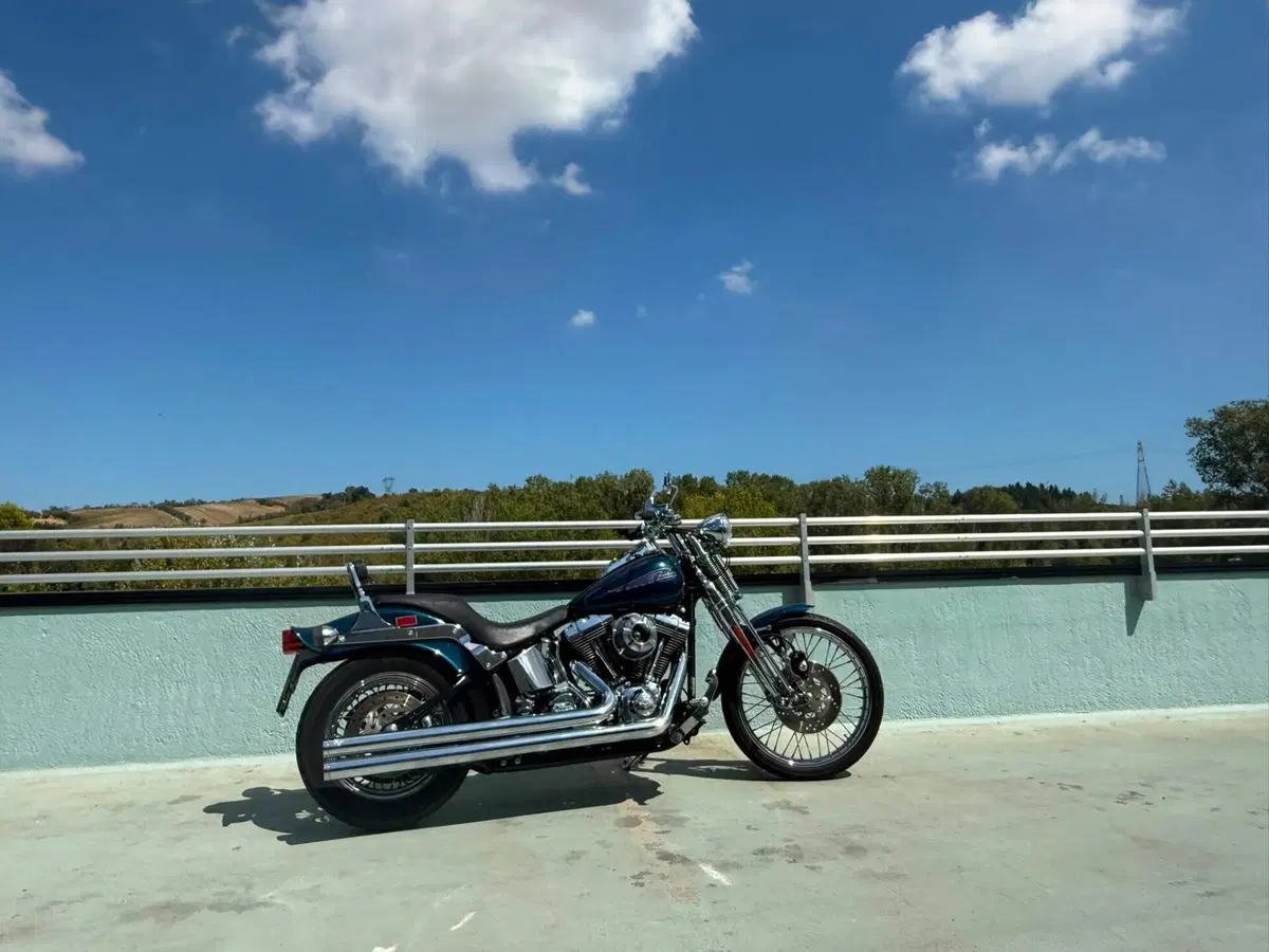 Harley-Davidson 1450 Springer (2001 - 03) - FXSTS (15)