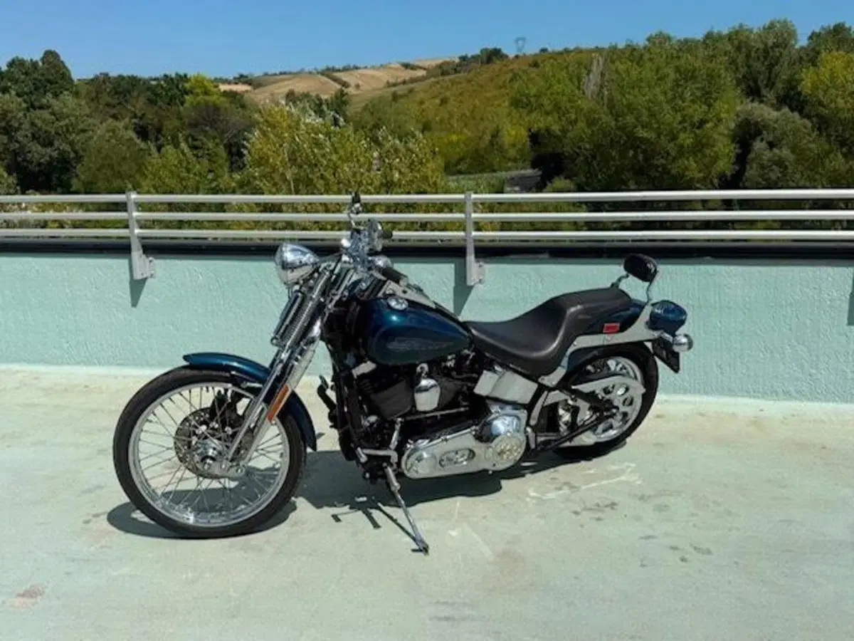 Harley-Davidson 1450 Springer (2001 - 03) - FXSTS (16)