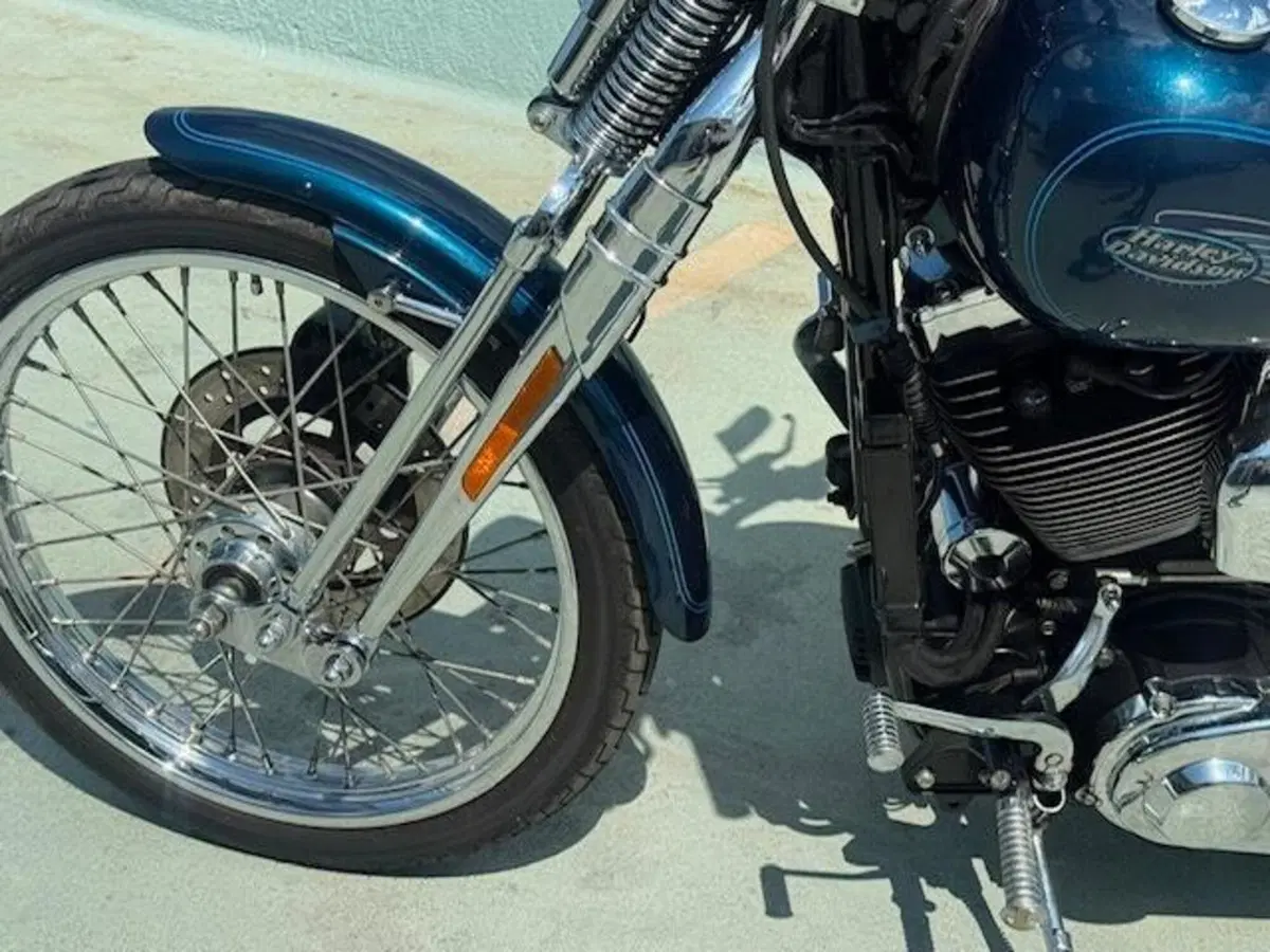 Harley-Davidson 1450 Springer (2001 - 03) - FXSTS (17)