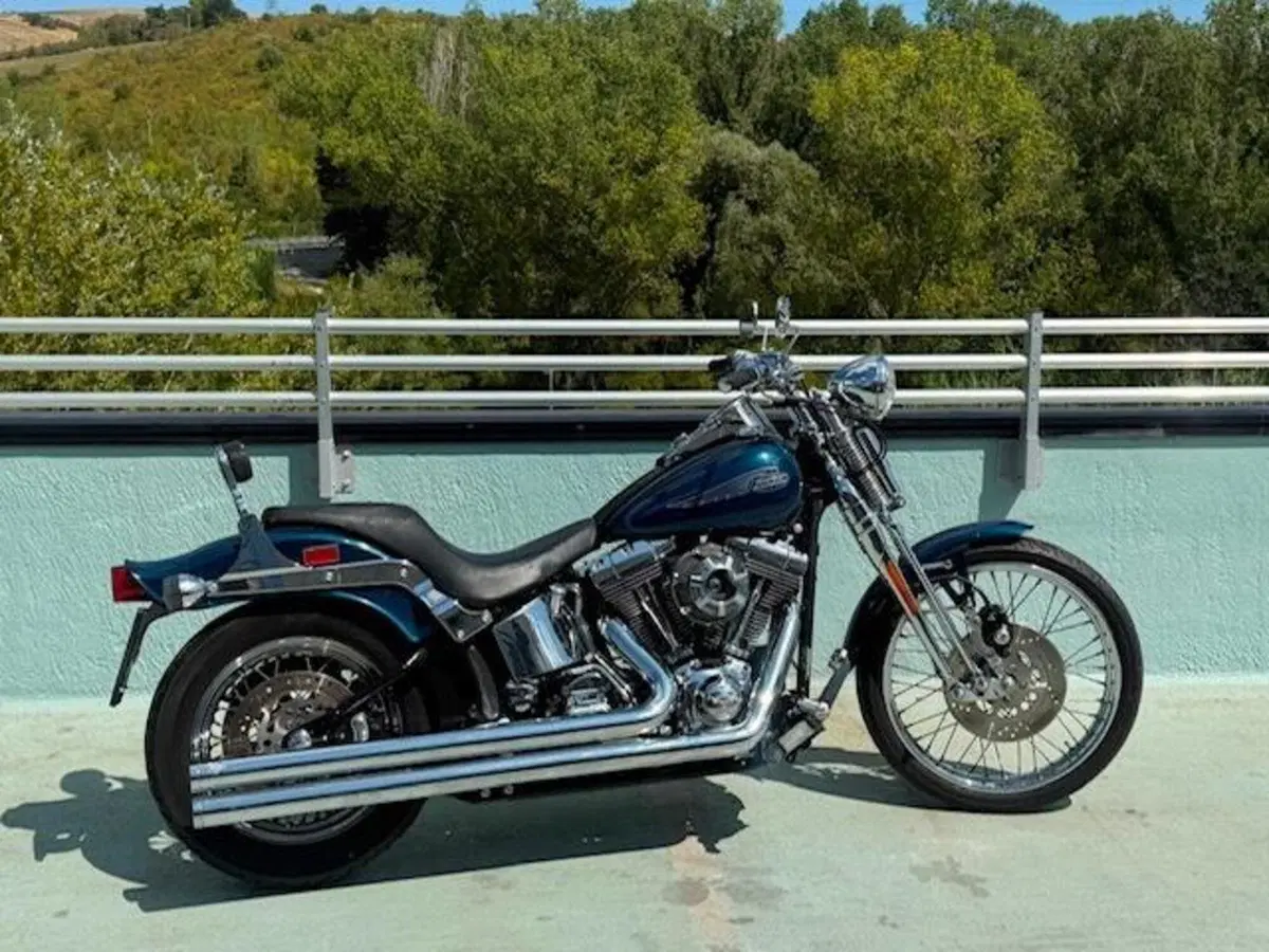 Harley-Davidson 1450 Springer (2001 - 03) - FXSTS (18)