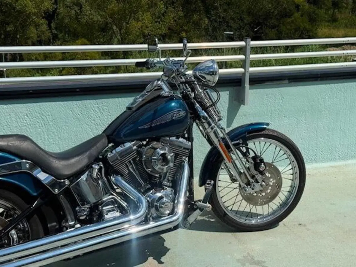 Harley-Davidson 1450 Springer (2001 - 03) - FXSTS (19)