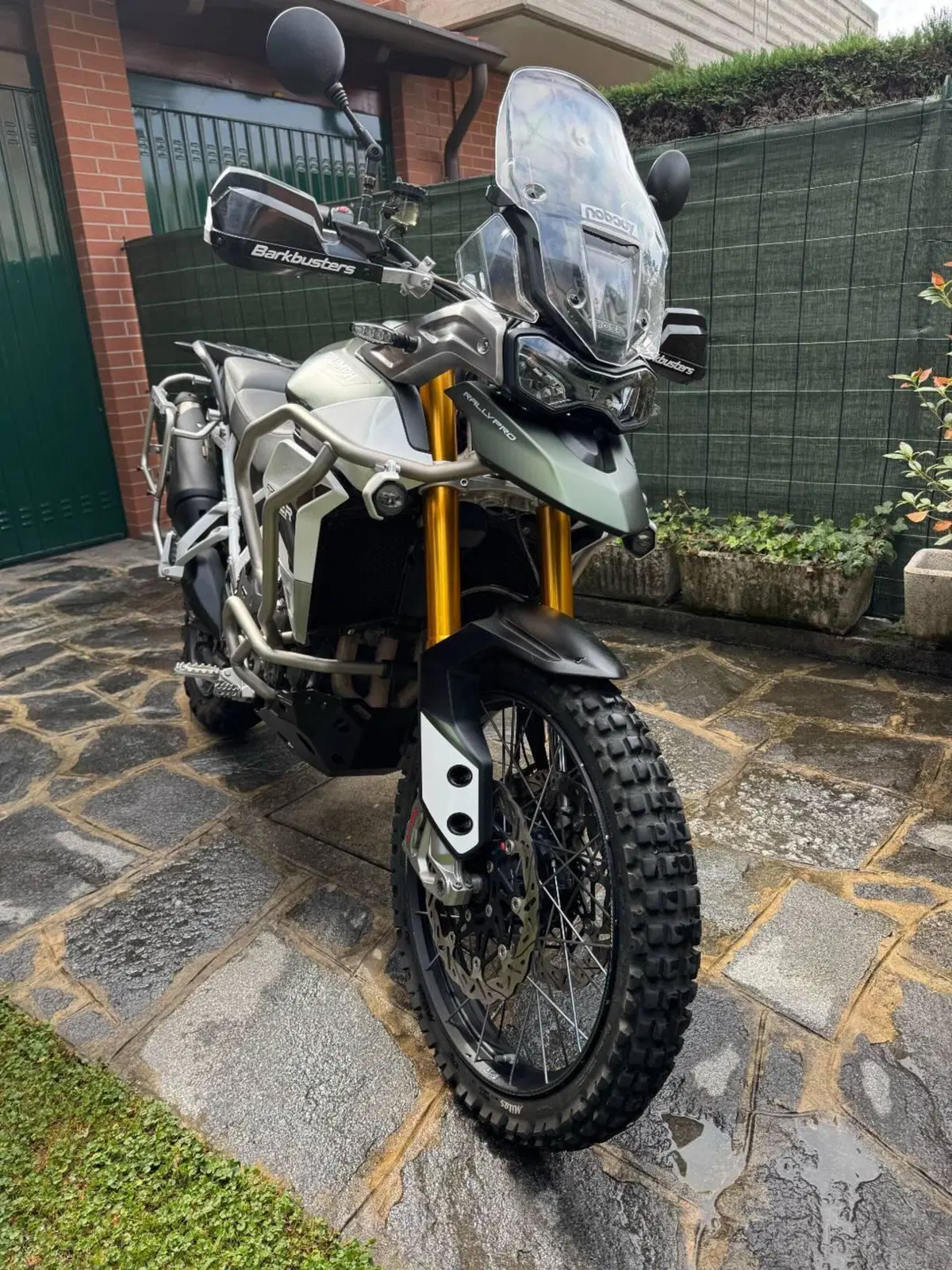 Triumph Tiger 900 Rally Pro (2020 - 23)