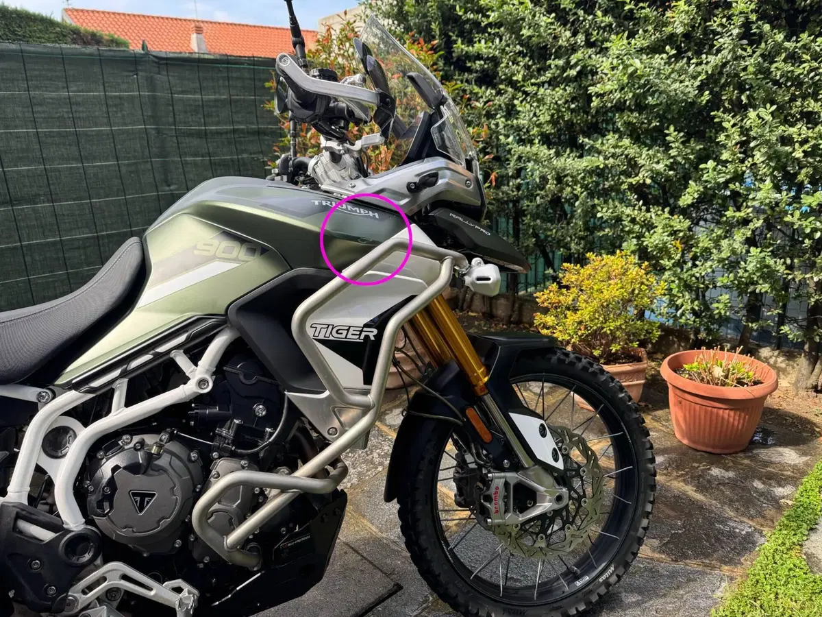 Triumph Tiger 900 Rally Pro (2020 - 23) (2)