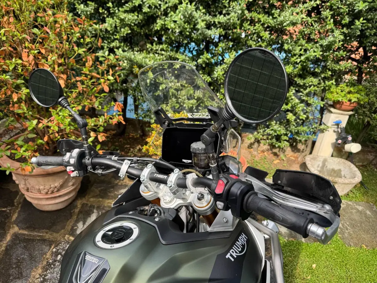 Triumph Tiger 900 Rally Pro (2020 - 23) (3)