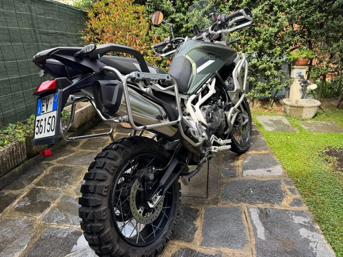 Triumph Tiger 900 Rally Pro (2020 - 23) (4)