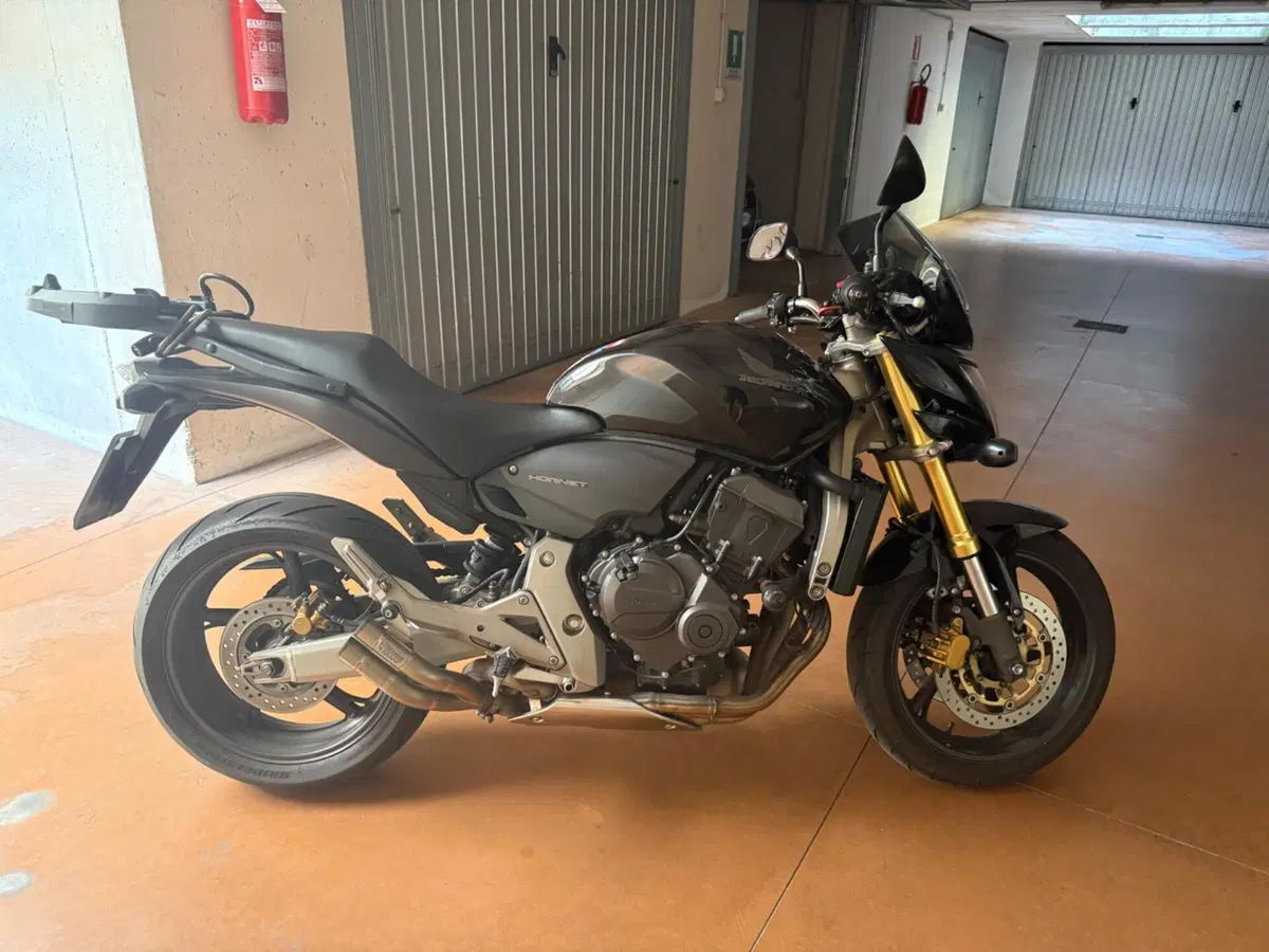 Honda Hornet 600 (2007 - 10)