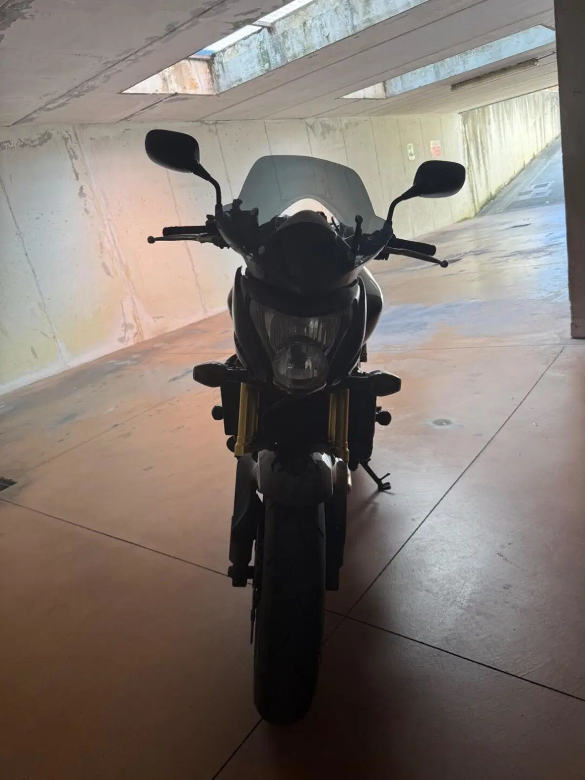 Honda Hornet 600 (2007 - 10) (4)