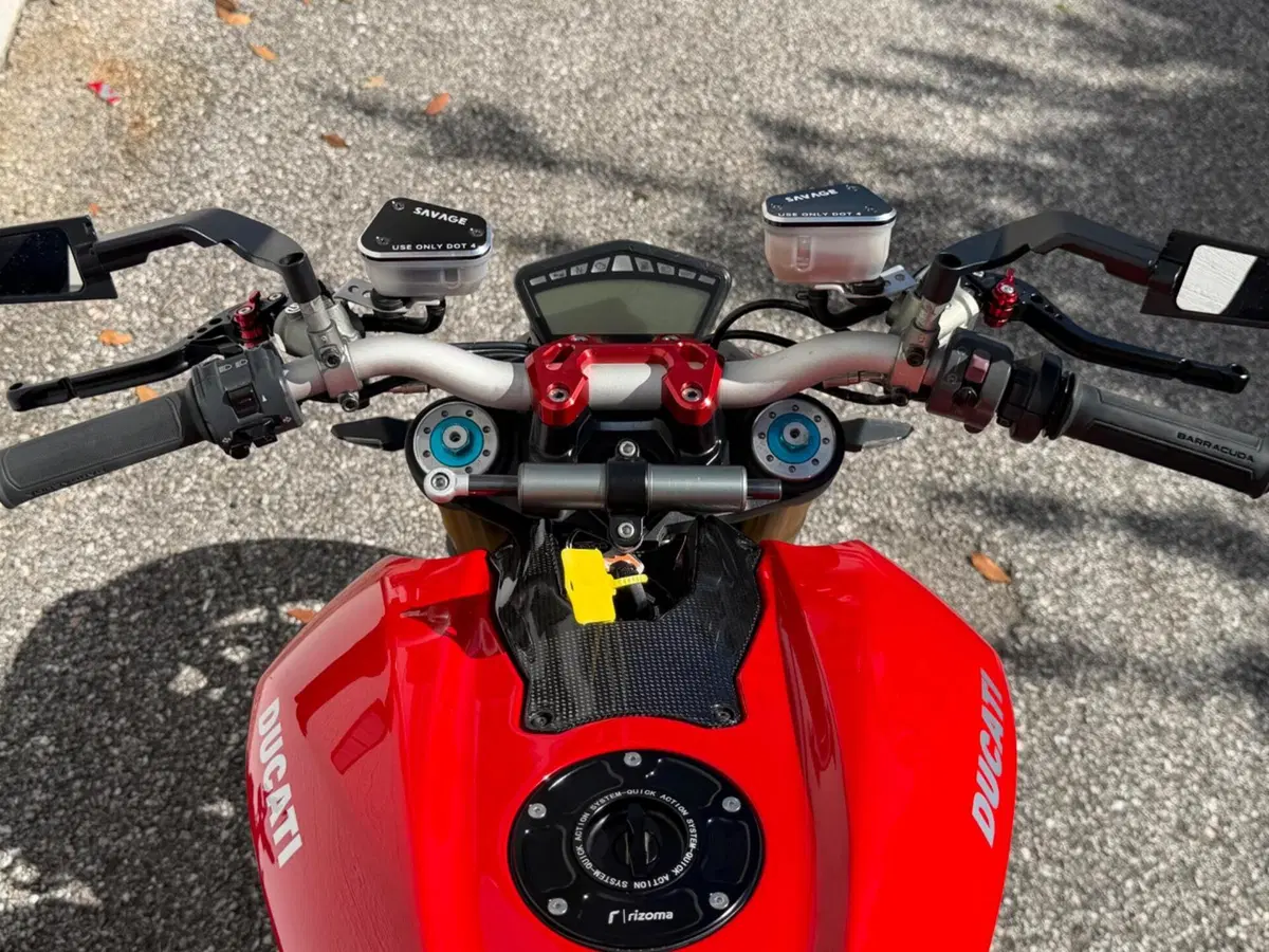 Ducati Streetfighter S (2009 - 14) (5)