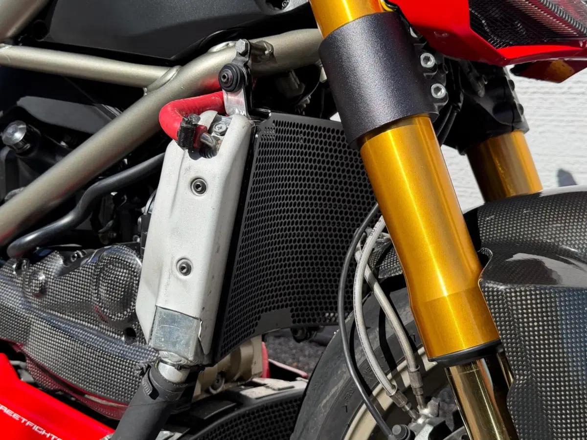 Ducati Streetfighter S (2009 - 14) (11)