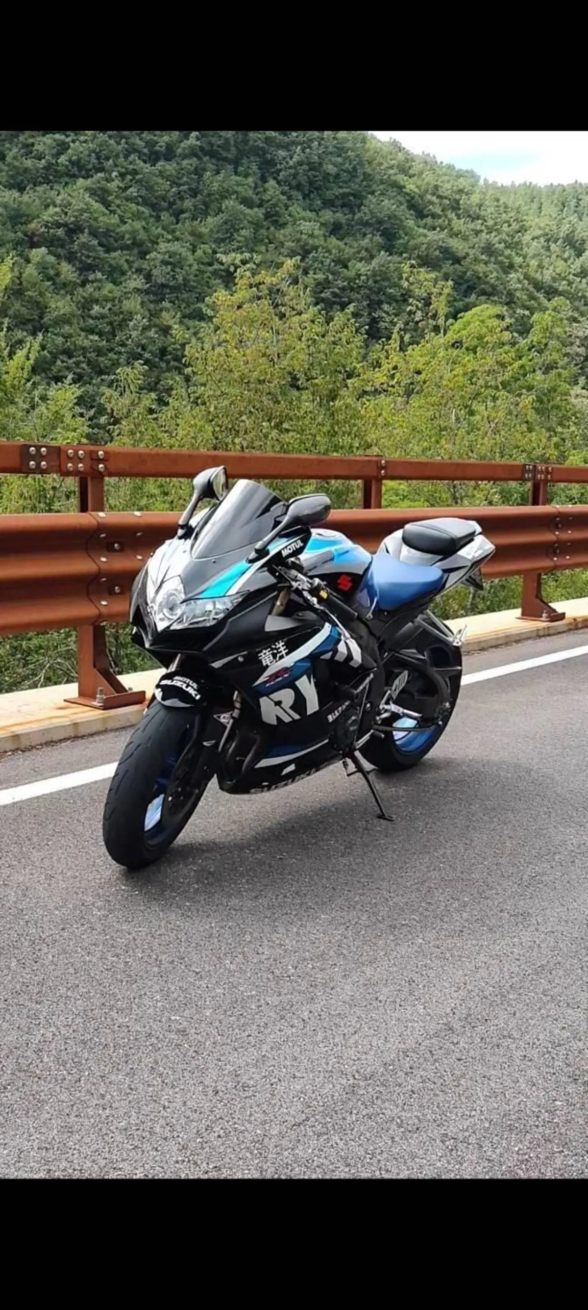 Suzuki GSX R 600 (2008 - 10) (5)