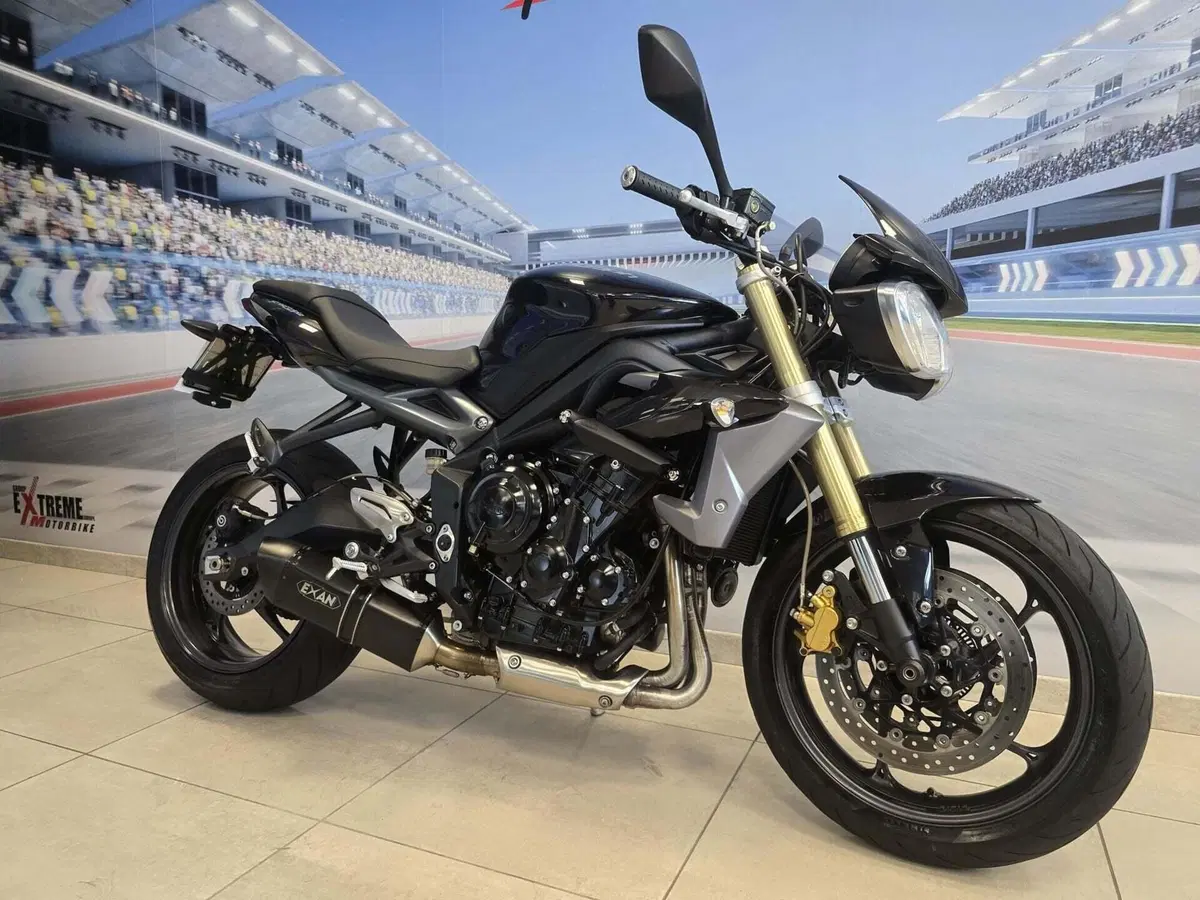 Triumph Street Triple ABS (2013 - 17) (13)