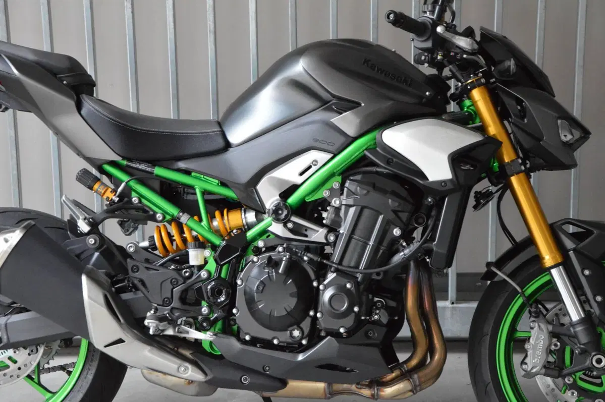 Kawasaki Z 900 SE (2025 - 26) (2)