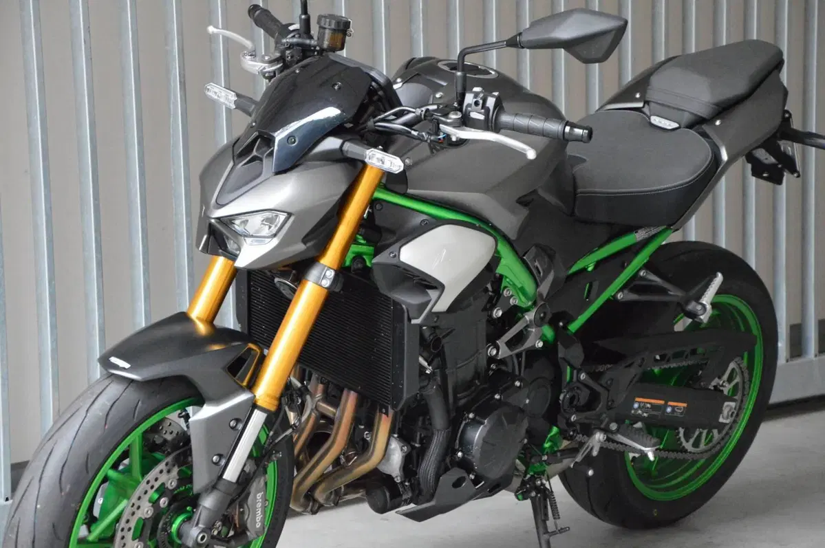 Kawasaki Z 900 SE (2025 - 26) (11)