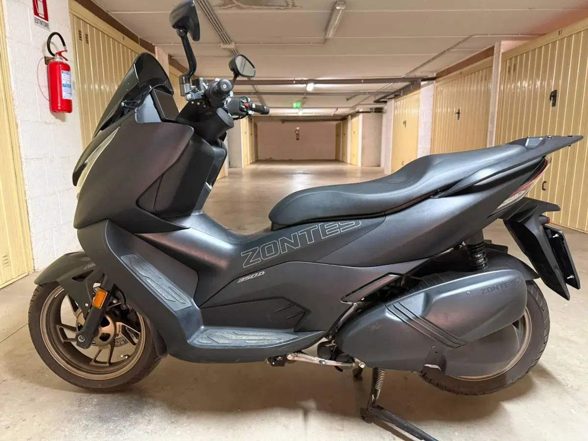 Zontes ZT350-D (2023 - 25) (4)