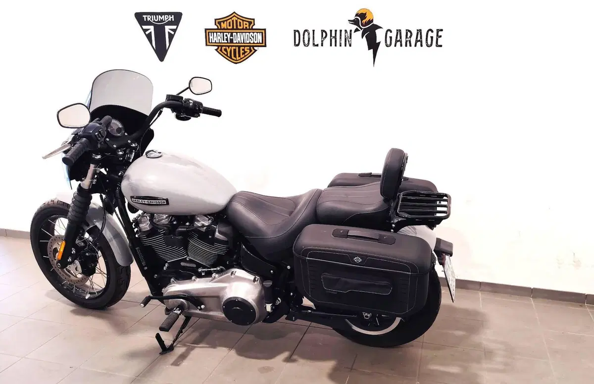 Harley-Davidson Street Bob 117 (2025 - 26) (10)