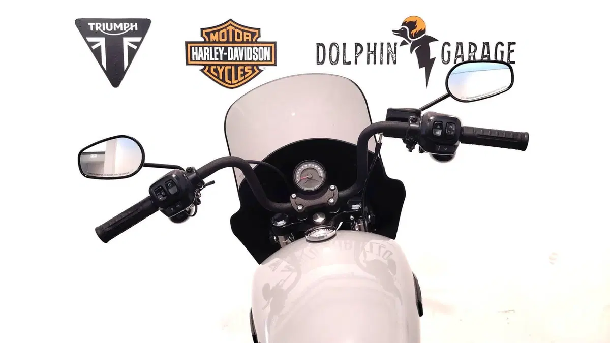 Harley-Davidson Street Bob 117 (2025 - 26) (13)