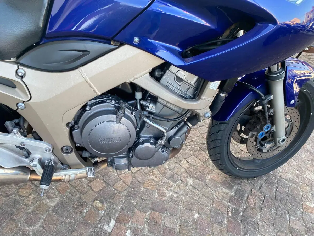 Yamaha TDM 900 (2002 - 14) (5)