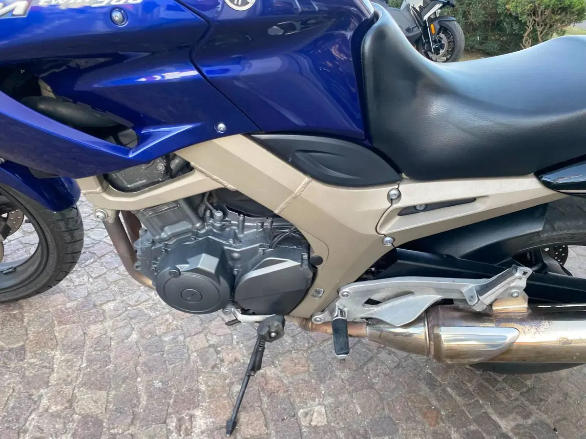 Yamaha TDM 900 (2002 - 14) (6)
