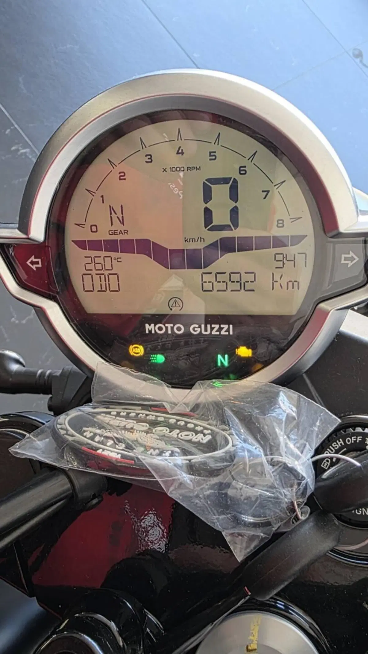 Moto Guzzi V7 Stone (2021 - 24) (5)