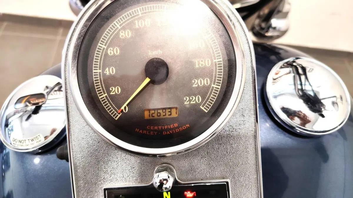 Harley-Davidson 1450 Heritage Classic (2003 - 05) - FLSTCI (14)