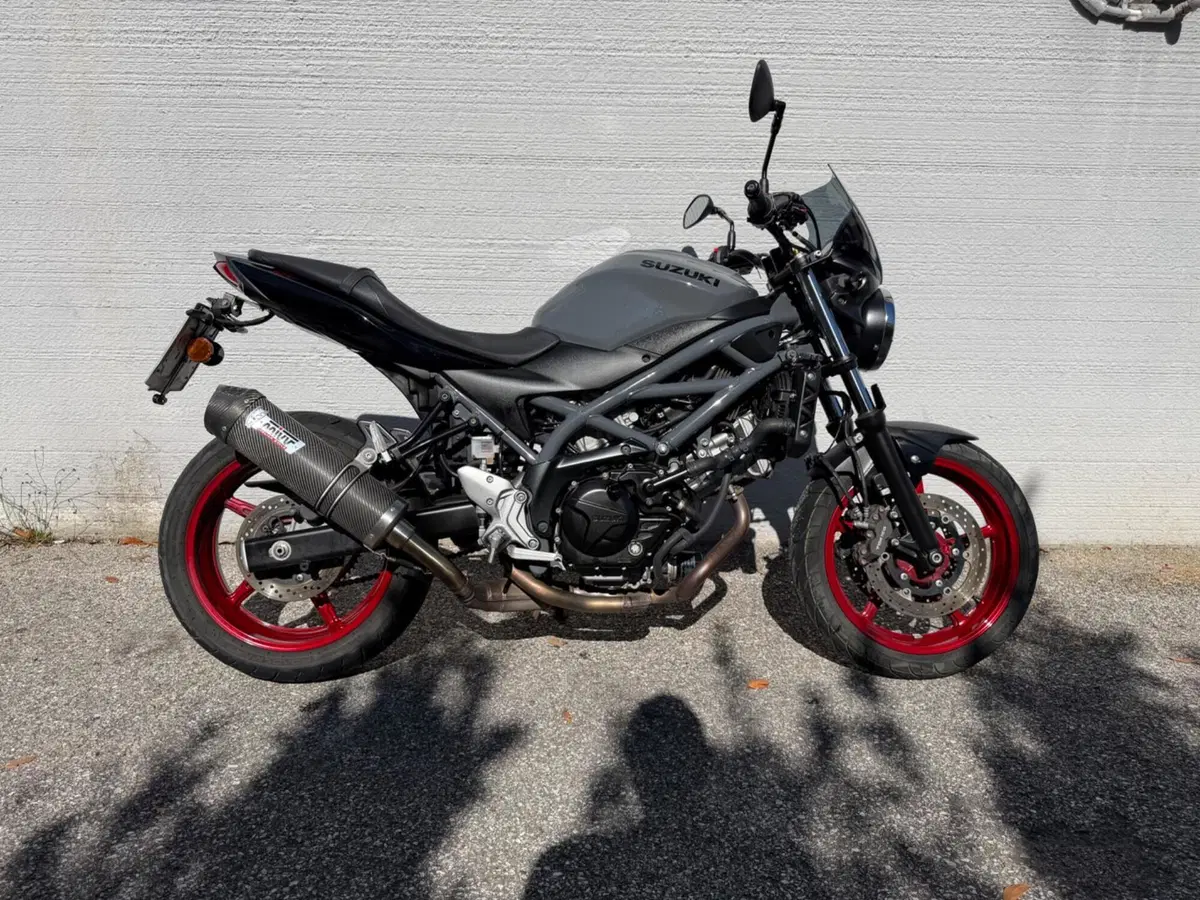 Suzuki SV650 (2021 - 24) (2)