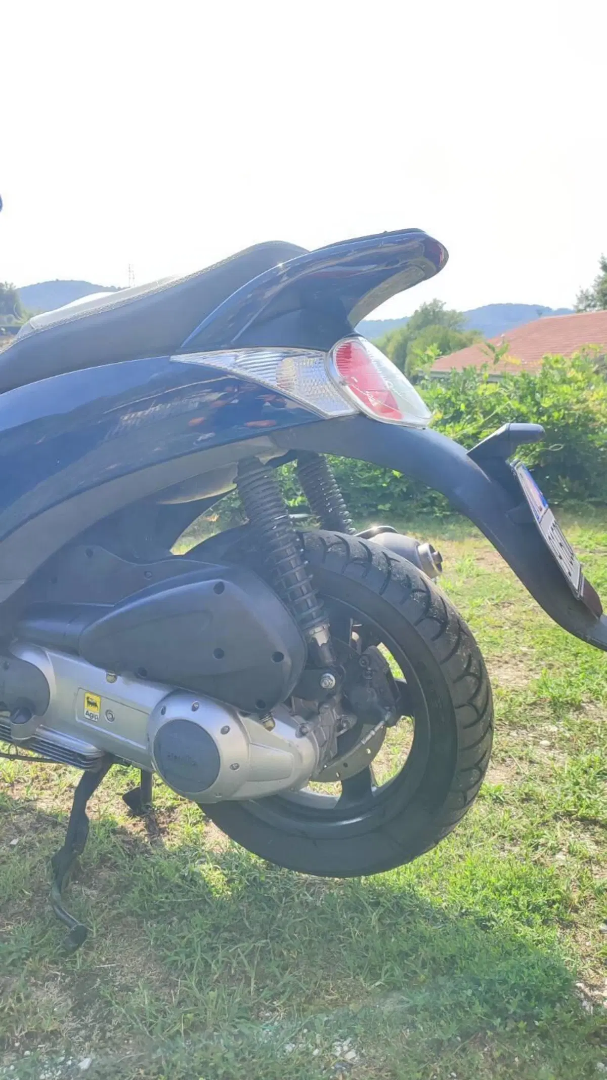 Aprilia Scarabeo 300 Special (2009 - 13) (3)