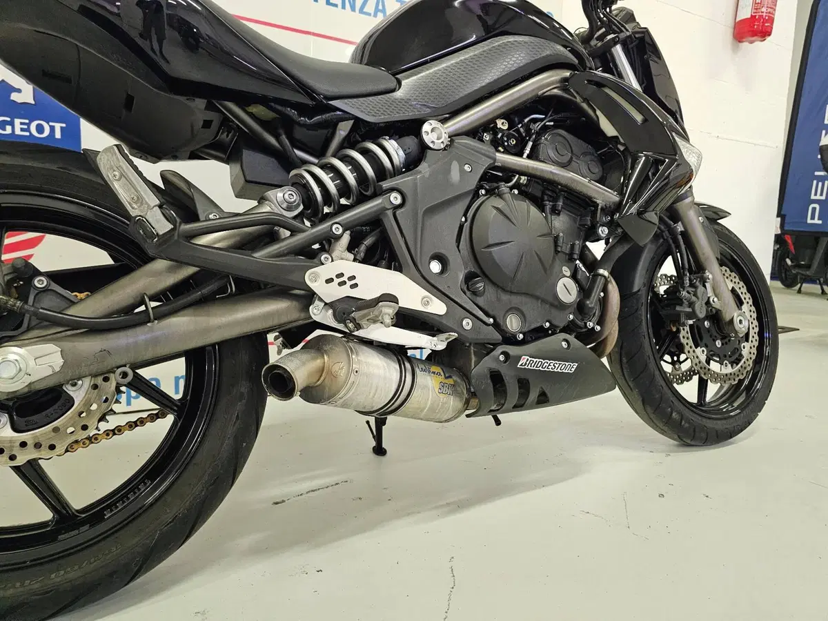 Kawasaki ER-6N (2009 - 11) (2)