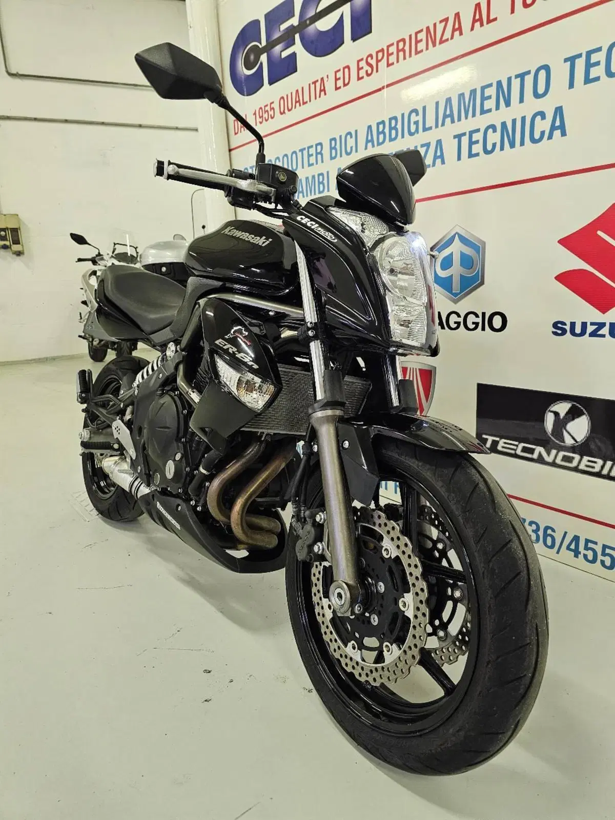 Kawasaki ER-6N (2009 - 11) (4)