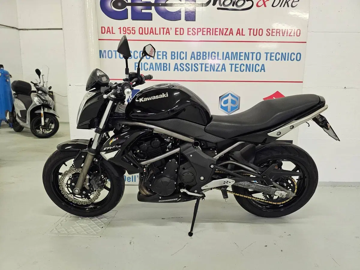 Kawasaki ER-6N (2009 - 11) (5)