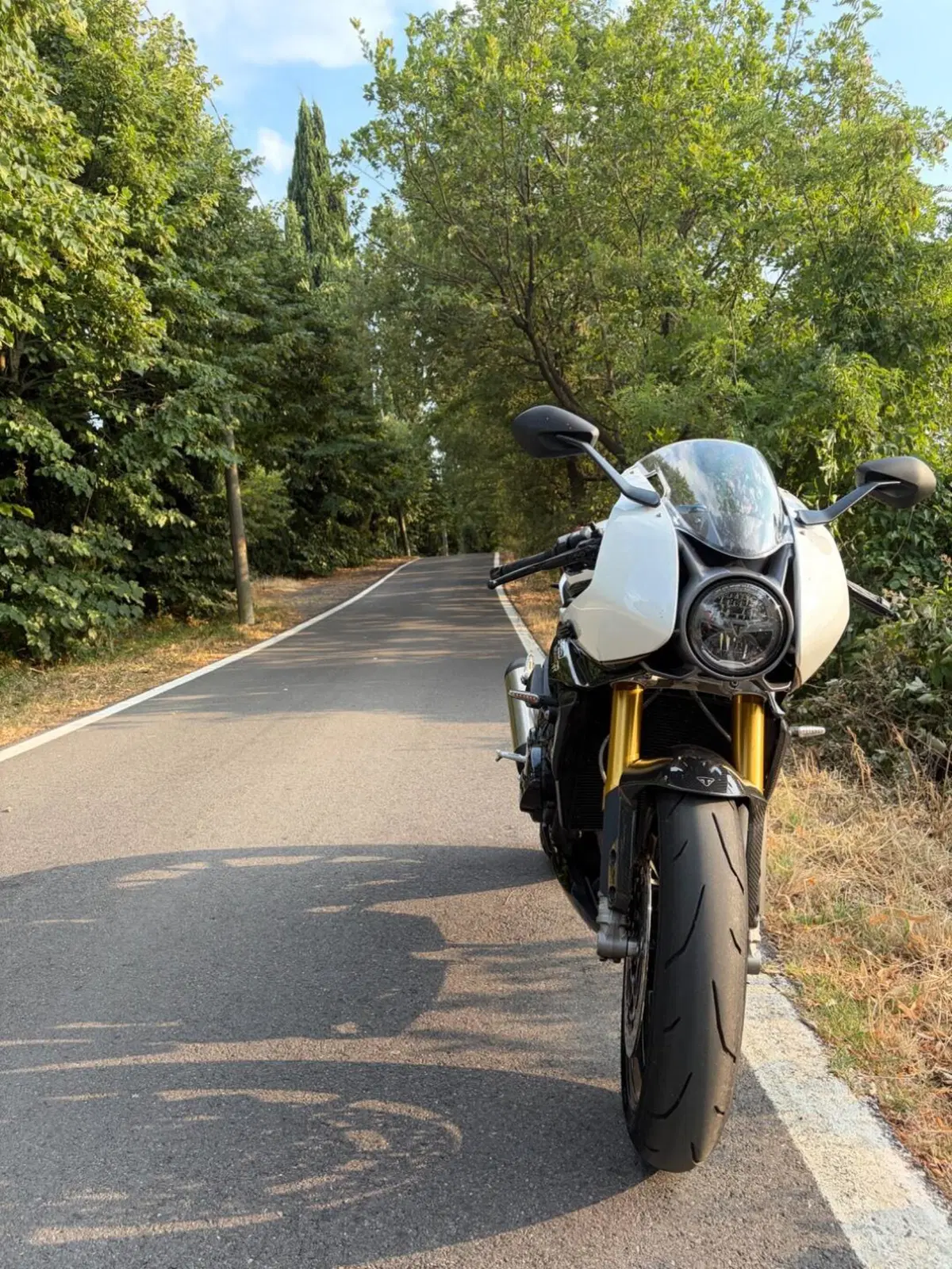 Triumph Speed Triple 1200 RR (2022 - 26) (2)