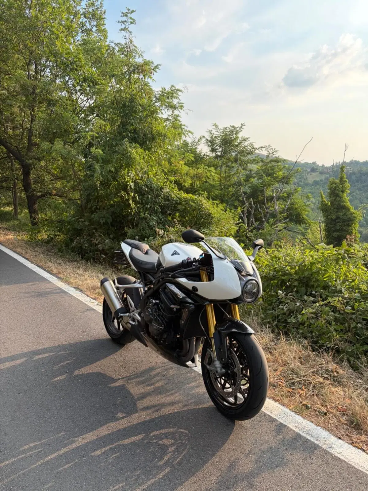 Triumph Speed Triple 1200 RR (2022 - 26) (3)
