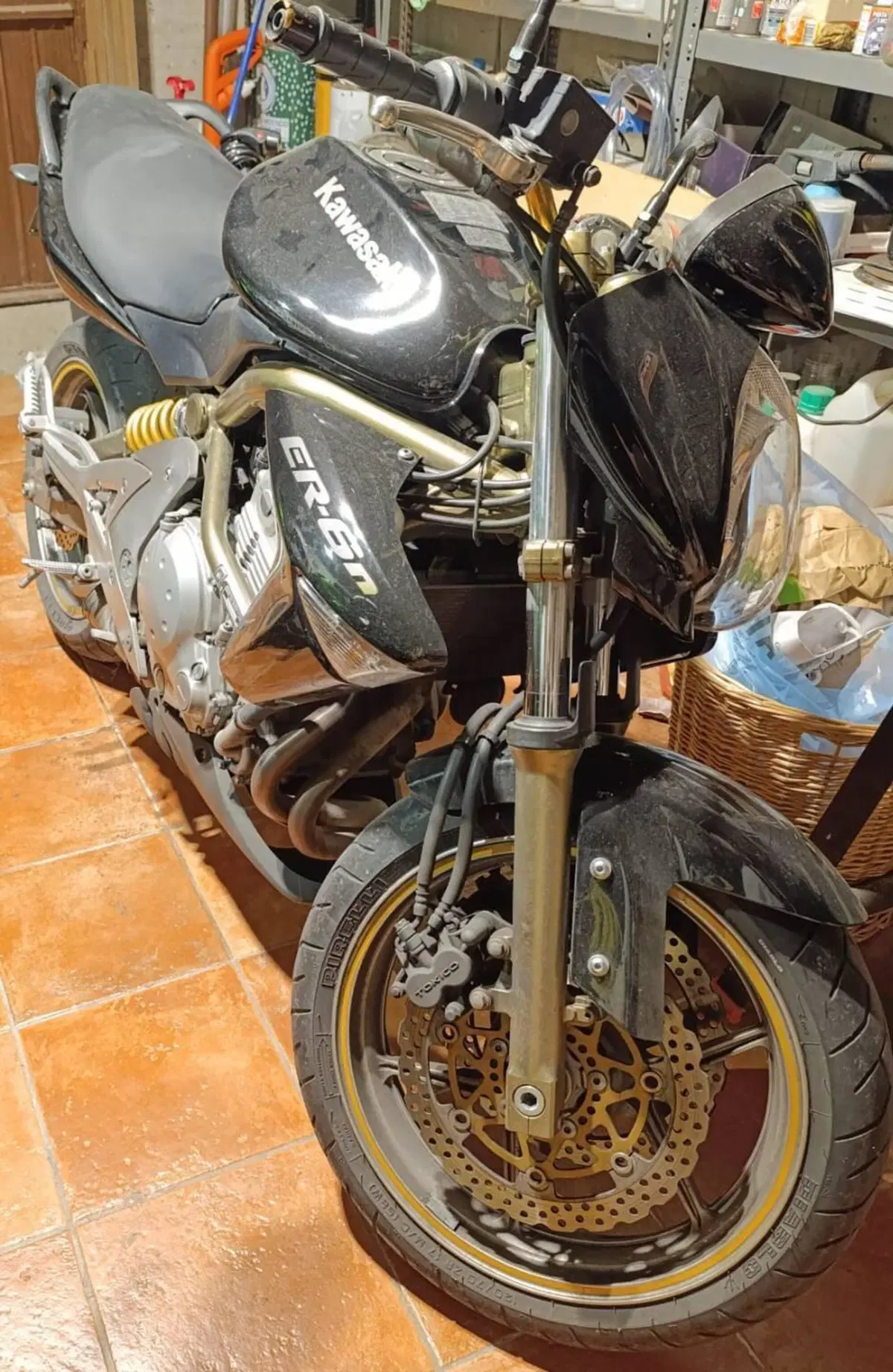 Kawasaki ER-6N (2005 - 08) (2)