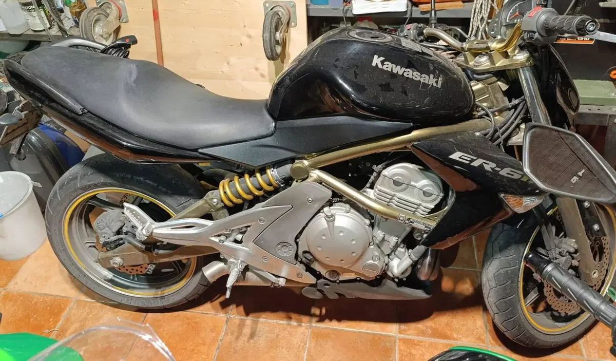 Kawasaki ER-6N (2005 - 08) (3)